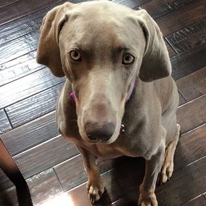 Meet your Posher, Marcia